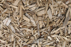 biomass boilers Tanlan