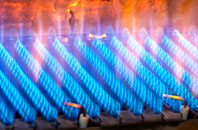 Tanlan gas fired boilers